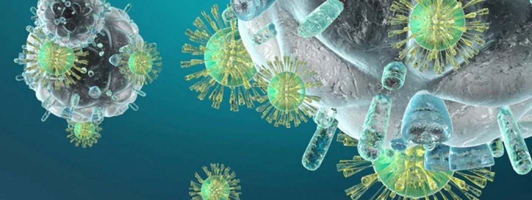 Cum se testează imunitatea organismului? Când este necesară imunizarea artificială a organismului? Ce este imunoterapia?