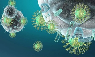 Cum se testează imunitatea organismului? Când este necesară imunizarea artificială a organismului? Ce este imunoterapia?