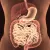 Care sunt patologiile digestive comune legate de o digestie defectuoasă?