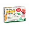 EPID Propolis Junior