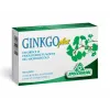 Ginkgo plus x 30 caps