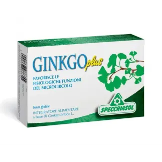 Ginkgo plus x 30 caps