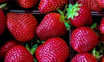 Căpșunile - ce beneficii pot oferi?