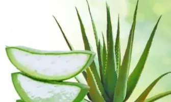 De ce este Aloe Vera o plantă benefică pielii tale